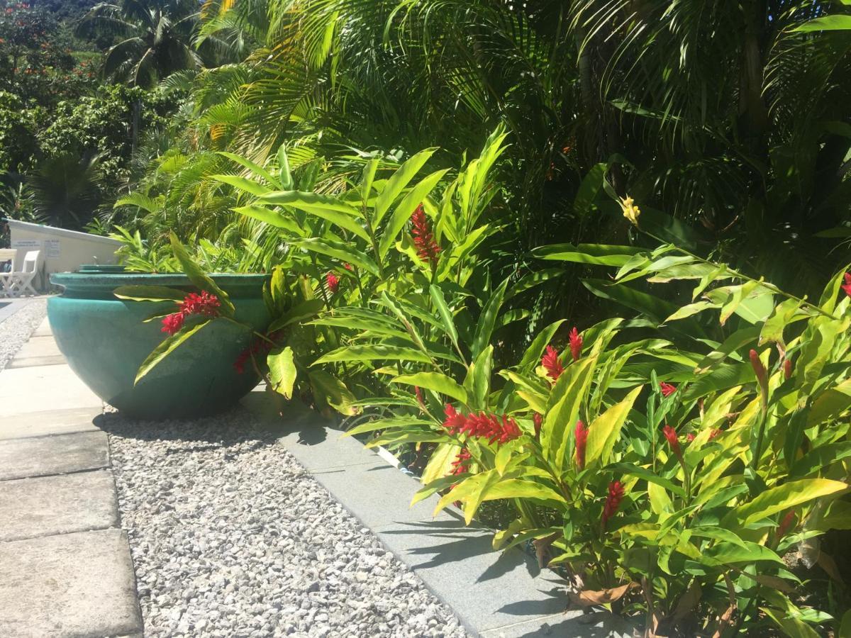 Te Puka Estate Group & Function Venue Villa Rarotonga Buitenkant foto
